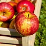 Belper Apple Day 2021 – What’s On